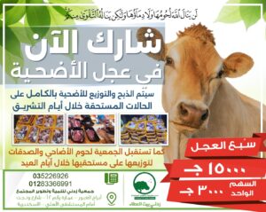 🐏 أضحيتك.. سعادة لهم وقربة لرب العالمين